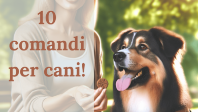 10 comandi per cani: Guida Completa