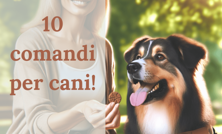 10 comandi per cani: Guida Completa